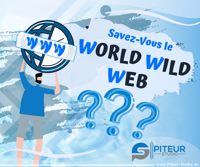 C’est quoi le « WWW » ou le World Wild Web ?